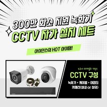 아이던스 300만화소 CCTV 세트 자가설치 실내 방범용 가정용 감시카메라, 300만화소 실내1세트 (50M케이블+어댑터)