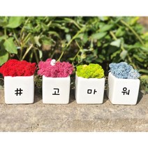 스칸디아모스 레인보우 메세지 모스, 고마워모스세트