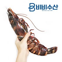 비비수산 킹타이거새우 1kg 4미 킹블랙타이거새우, 1개