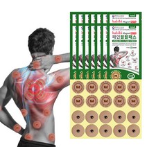 자석 동전 파스 근육통 패인팔팔패스 자석파스패치, 20개입, 14개