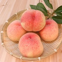 제철 햇복숭아 말랑이 털복숭아 2kg 6-8과 대, 없음