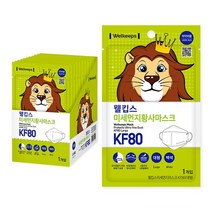 웰킵스 미세먼지황사마스크 대형 KF80, 25개입, 4개, 백색