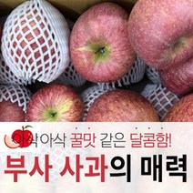 문경부사 꿀 사과 유명한곳 고랭지 선물용 가정용 못난이 사과 흠과 낙과 한박스 10kg, 가정용 맛좋은 문경부사 꿀사과 10kg 26-32과, 1개