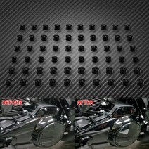 할리 60pcs 오토바이 엔진 볼트 나사 캡 커버 일렉트라 글라이드로드 글라이드로드 킹 20172021 Softail 20, 01 Black Bolt Cap