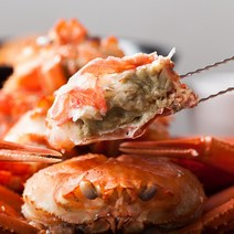 국내산 홍게 붉은 대게 제철 박달 게 연지홍게 3kg, 일반 3kg (살수율70%이상)