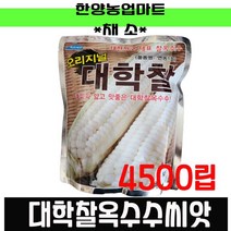 채소-대학찰옥수수4500립/대학찰4500립/농우바이오/연농1호씨앗/종자, 농우-대학찰옥수수 2000립