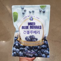 (트레이더스) 건 블루베리 건포도 건과일 500g