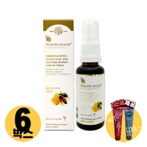 [사은품제공]호주 웰시헬스 프리미엄 프로폴리스 스프레이 30ml PROPOLIS 플로폴리스 면역력 알지알지몰 RZ, 상품수량, 6개