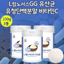 리얼 프랑스 lgg 람노서스 유상균 230g 3통 대용량 용기 유산균 분말 가루 프라토올리고당 엘 지지 람노서스 3세대 타먹는 유산균 엘 gg l 엘 지지 엘 쥐쥐 얼 남자 여성