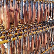 구룡포과메기 과메기철 햇과메기 과메기맛집 포항과메기, 1박스, 나홀로과메기세트