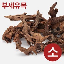 부세유목 [S] 10~15cm 미만 랜덤발송