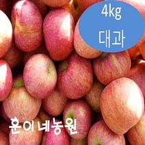 경북 안동 미시마 흠과 가정용 못난이 꿀 햇 사과 4kg 흠집 대과, 단품