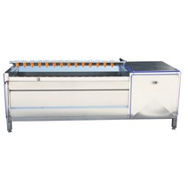 구근류세척기 고추세척기 생강 무 껍질까는기계, 800형