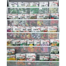 허브 씨앗 6종 라벤다 레몬밤 로즈마리 바질 스테비아 카모마일, 바질 300립