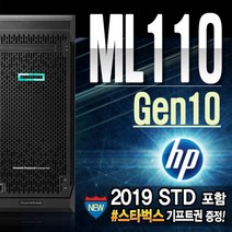 ML110 G10 (3204 64GB 1TBx3 WIN2019 STD) 서버 HP