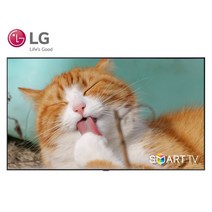 LG 86인치 나노셀 4K 스마트 UHD TV 86NANO90 AirPlay, 1-2. 수도권역 벽걸이 배송 설치