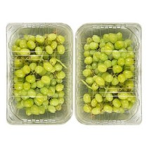씨 없는 청포도 3.6kg 제철 과일 안주 간식 선물, 상세페이지 참조