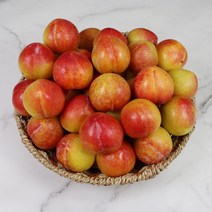 청송 추희자두 특품 3kg 130g내외