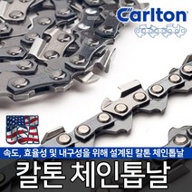 미제 정품 칼톤 체인톱날 전기톱날 엔진톱날 가이드바, 2-옵션02 오레곤가이드바 91x20T