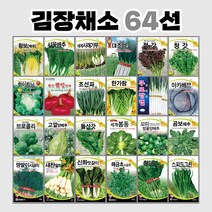 쿠로장렬파 80g / 파씨앗 대파씨앗 김장채소, 1개