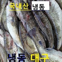 (쌍다리상회) 냉동 생대구 중 소 35cm이상 5kg이상, 냉동 생대구 35cm이상 8-11마리 5kg이상