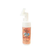 쥬아펫 워터리스 반려동물 발세정제 본품, 150ml, 2개