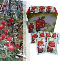의성사과 햇 부사사과 100프로 사과즙 120ml 50팩 선물용