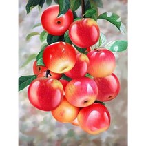대진 보석십자수 40X80 50X40 사이즈 대형 금전운 보석 십자수, 19 홍로 빨강사과 50x40, new
