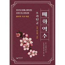 매화역수 : 우리 식구 운세는 내가 본다 숫자로 보는 나의 운세, 도서