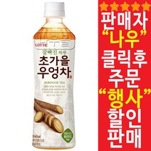 롯데칠성 잘빠진 초가을 우엉차 500ml 48병, 단품