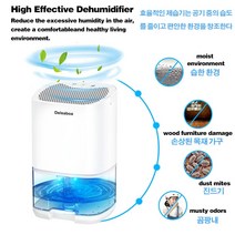 제습기 공기청정기 2 in 1 조용한 음소거 7가지색상 램프 조명 습도조절 음이온정화 심플한디자인 장마 습기제거, 한국, 블랙