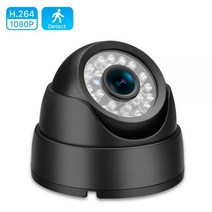 가게CCTV 강아지 홈캠 홈 실외 현관 문 농막 CCTV HD 720P 960P 1080P IP 카메라 28mm 광각 2MP 감시 보안 모션 감지 XMEye 앱, 1080P (48V PoE)_3.6mm