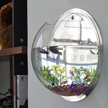 EJG 벽걸이 어항 관엽식물 아쿠아리움 꽃병 거울로 된 뒷면 23cm, ㅏ