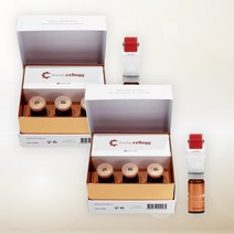 PDRN연어앰플 인체줄기세포배양액 고농축 리주란앰플 프레스티지10ml 3개 x 2박스