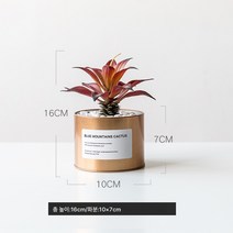 작은 화분 장식 모사 식물 다육 조화 거실 실내 테이블 장식 북유럽 그린 식 ins 풍 분경 선물, 골드주석+레드Agave