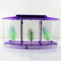 배면섬프 광폭 2자 분할어항 아크릴어항 아크릴수조 어항다이 3자 LED 빛 아크릴 3 분할 Betta 물고기 그릇 트리플 활 싸우는 격리 수족관에 대 한 번식 상자, 보라