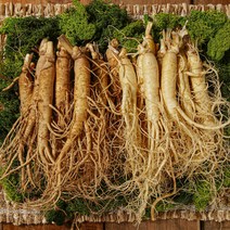 농가살리기 수삼 햇 난발수삼 세척삼 흙수삼 375g 500g 750g 골라담기, 가정용 (무세척) 난발수삼 10뿌리 내외 375g, 1개, 375g(가정용 (무세척) 난발수삼 10뿌리 내외)
