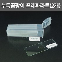 누룩줄곰팡이 관찰 프레파라트 2P 과학 교재 돌봄 실습 탐구 이해 실험 연구 원리 학습 도구