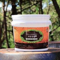바른황토 바르는 천연황토벽지 자연정원 페인트 10L, 연분홍