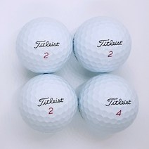 타이틀리스트 화이트 A-급 10알 2피스 3피스 필드용 물로만 세척 로스트볼 창고 샵