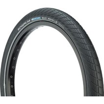 Schwalbe 슈왈베 빅 애플 타이어 와이어 비드, 26 IN x 2 IN, 26 IN x 2 IN