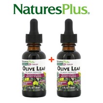 (1+1) 네이처스플러스 액상 올리브 잎 추출물 안티옥시던트 올러유러핀 30ml 2팩