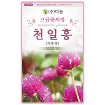 설악초 20립 - 초설초 야광초 야생화 씨앗 꽃씨 씨 꽃씨앗 야생화씨앗 고급꽃씨 고급꽃씨앗, 16_다농_천일홍(자홍색)(100립)