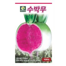 수박무 100립 -D