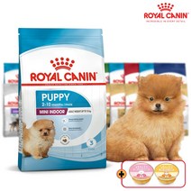 로얄캐닌 미니인도어퍼피 3kg 생후3개월-10개월 10kg미만 소형견용 퍼피사료, 2포이상구매시 데일리 미니캔 1개 증정, 24.05