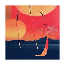톰 미쉬 유세프 다예스 Tom Misch Yussef Dayes What Kinda Music LP 음반 바이닐 레코드 앨범