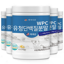 WPC 유청단백질 분말 300g 미국산100% HACCP 인증제품, 4+1개