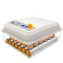 병아리부화기 자동병아리부화기 달걀부화기 계란부화기, 퍼플 6매 클래식 단전