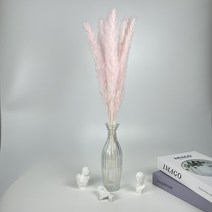랄라룸 드라이플라워 핑크뮬리 5Color 낱개950원 5P4500원 10P8000원, 10p, 연핑크