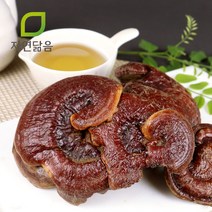 자연닮음 국산 자연산 영지버섯 300g